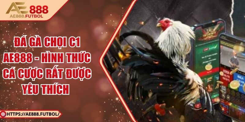 Đá Gà Chọi C1 AE888 - Hình Thức Cá Cược Rất Được Yêu Thích 2 Đá Gà Chọi C1 AE888 - Hình Thức Cá Cược Rất Được Yêu Thích