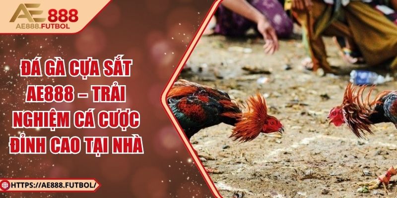 Đá Gà Cựa Sắt AE888 – Trải Nghiệm Cá Cược Đỉnh Cao Tại Nhà 4 Đá Gà Cựa Sắt AE888 – Trải Nghiệm Cá Cược Đỉnh Cao Tại Nhà