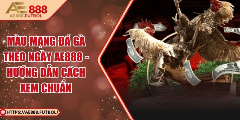 Màu Mạng Đá Gà Theo Ngày AE888 - Hướng Dẫn Cách Xem Chuẩn 5 Màu Mạng Đá Gà Theo Ngày AE888 - Hướng Dẫn Cách Xem Chuẩn